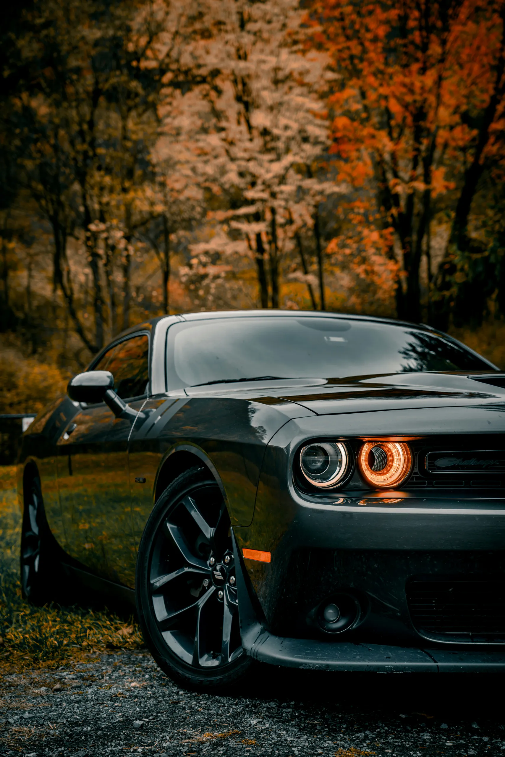 Coche deportivo negro sobre un bosque otoñal tras el detailing